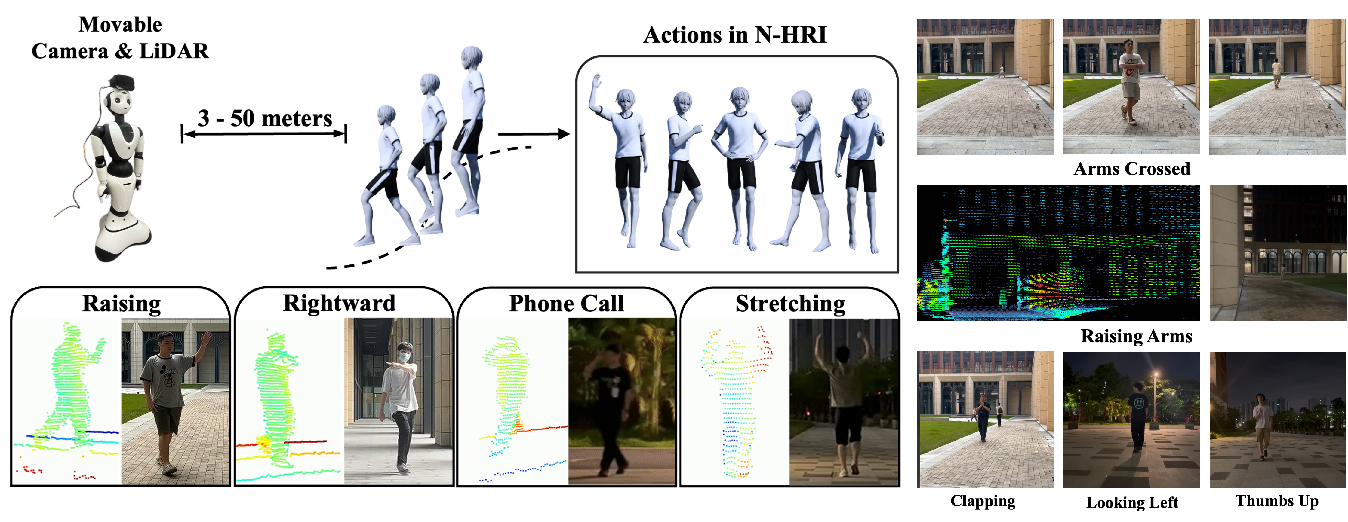 Dataset overview