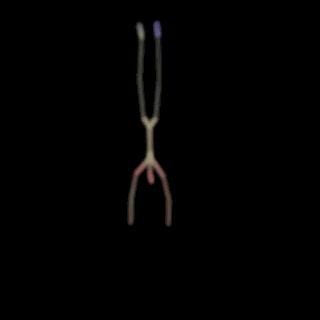 SkeletonLLM rendered handstand motion