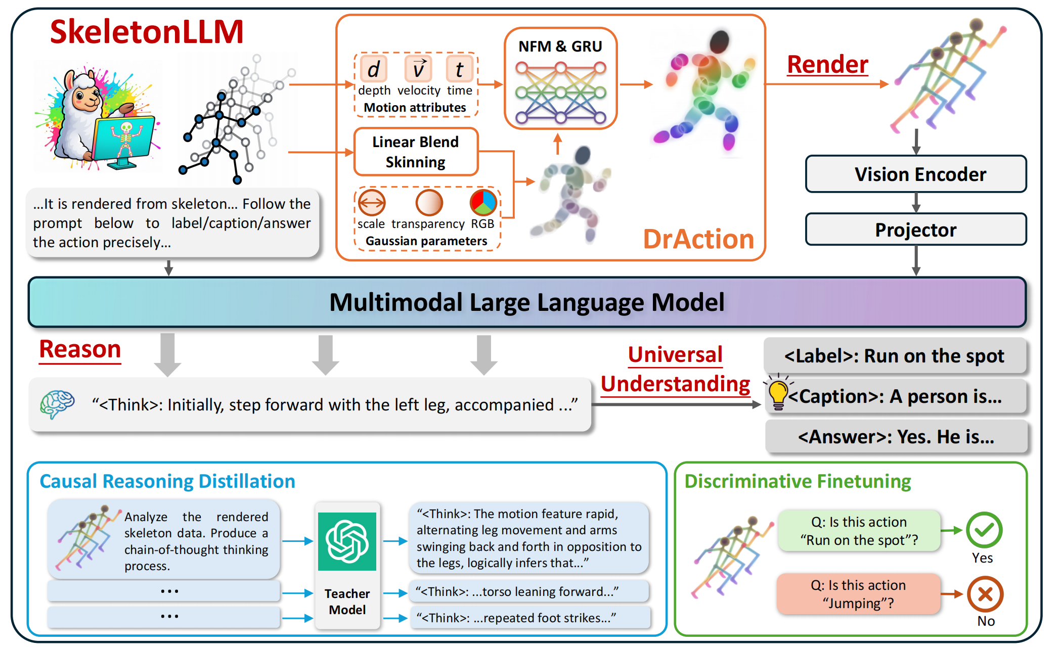Universal Skeleton Understanding